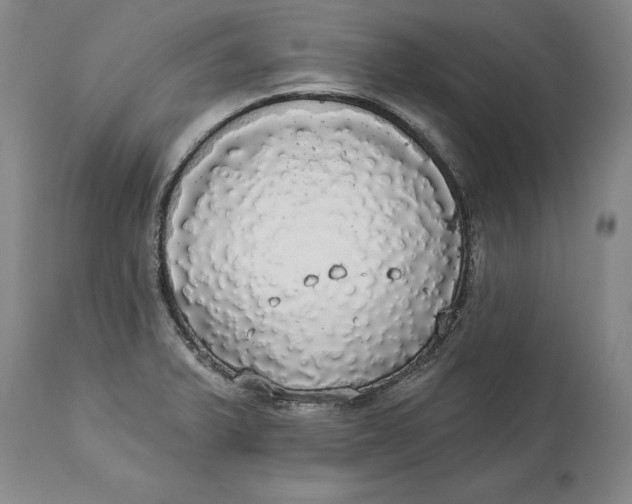 X0000114551375200911091146
