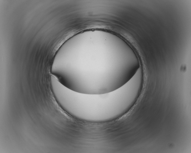 X0000114551377200911091146