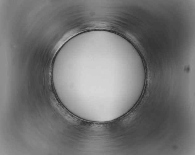 X0000114551378200911091146