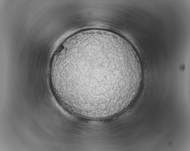 X0000114551379200911091146