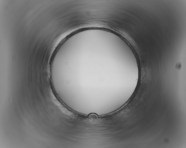 X0000114551380200911091146
