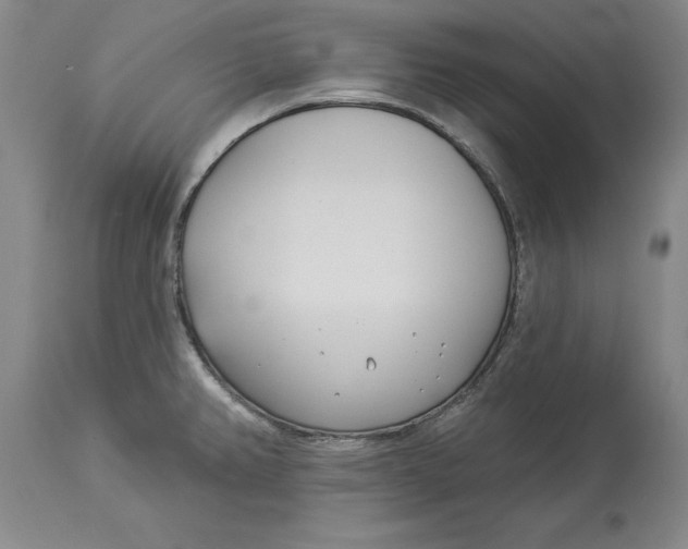 X0000114551382200911091146