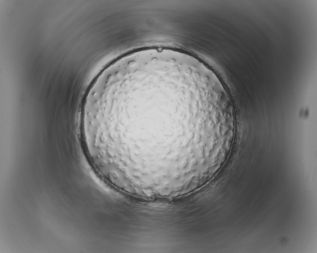 X0000114551383200911091146