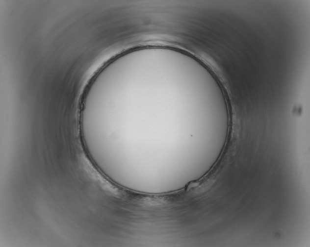 X0000114551384200911091146