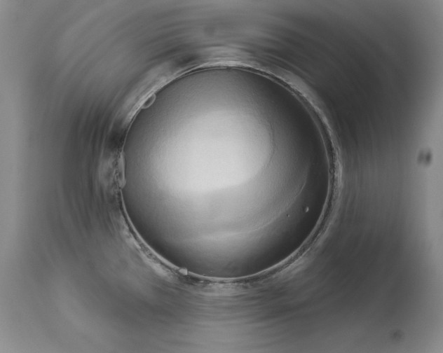 X0000114551385200911091146