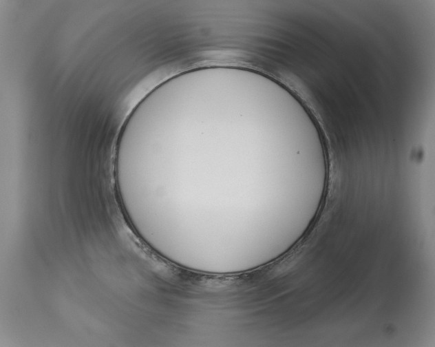 X0000114551386200911091146