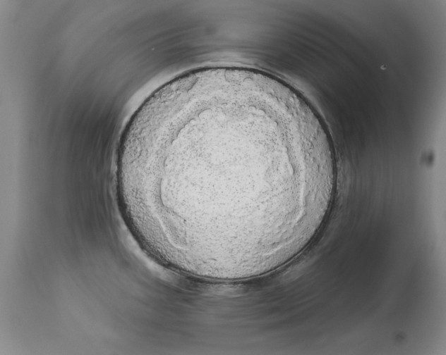 X0000114551387200911091146
