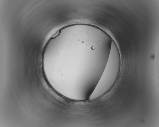 X0000114551389200911091146