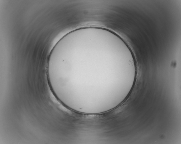 X0000114551390200911091146