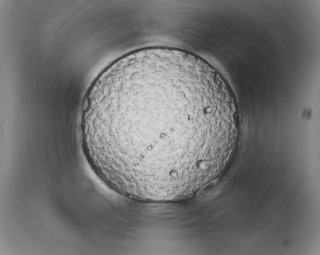 X0000114551391200911091146