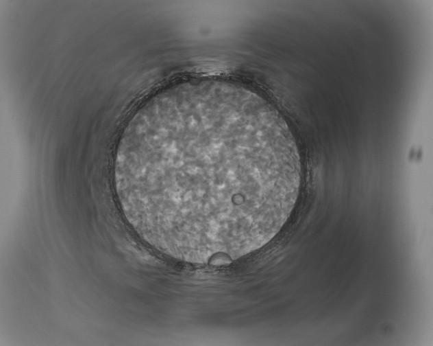 X0000114551393200911091145