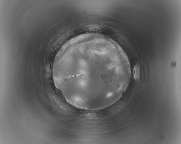 X0000114551395200911091145