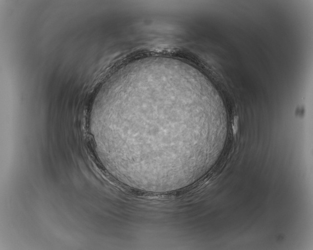 X0000114551396200911091145