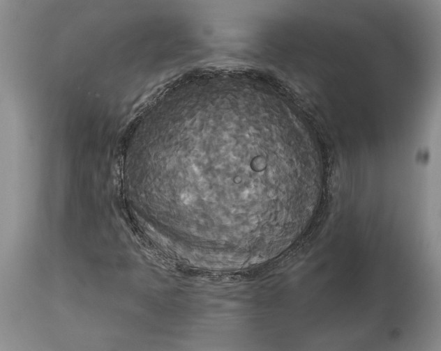 X0000114551397200911091145