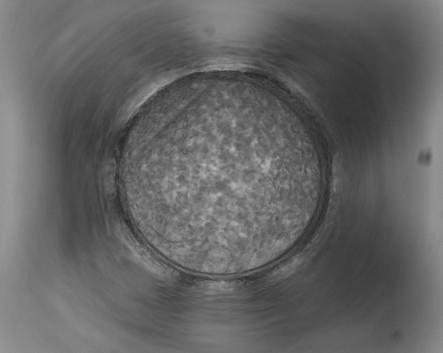X0000114551401200911091145