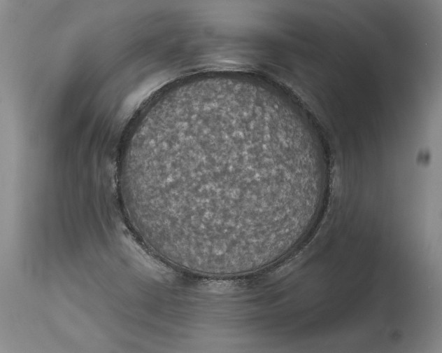 X0000114551402200911091145