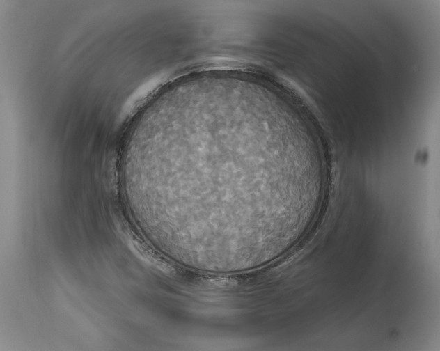 X0000114551403200911091145