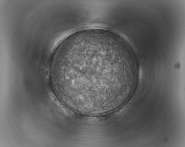 X0000114551405200911091145