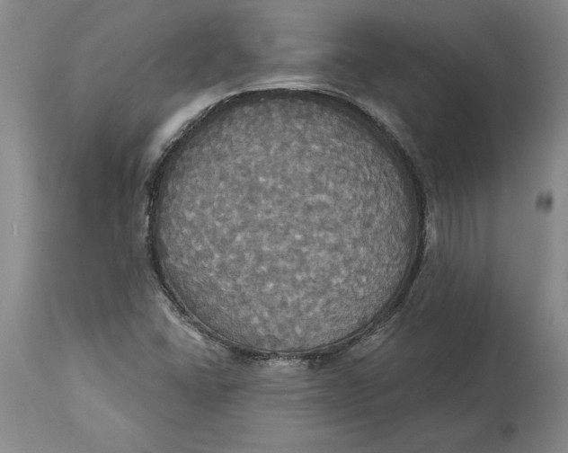 X0000114551406200911091145