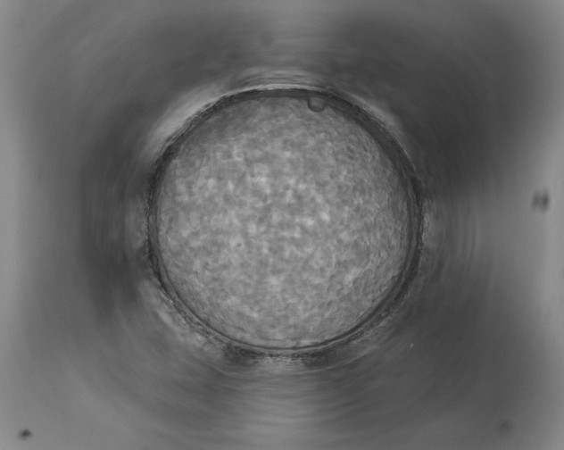X0000114551407200911091145