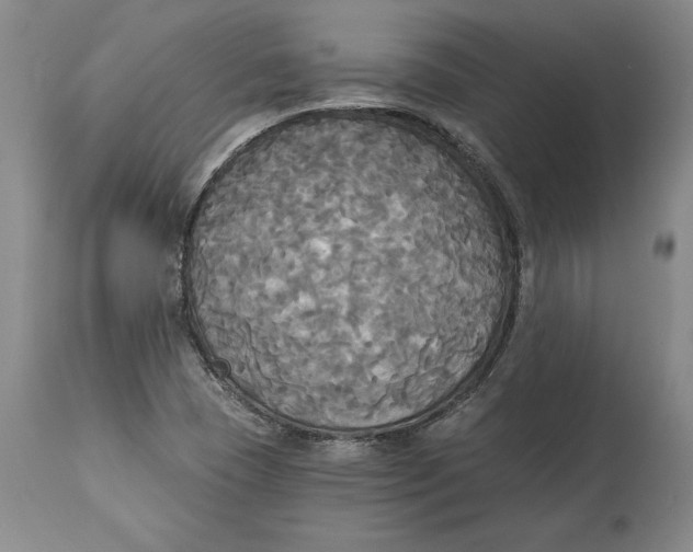 X0000114551409200911091145