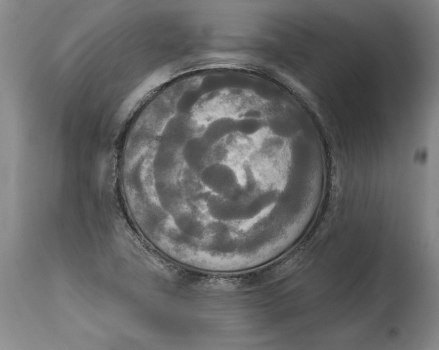 X0000114551411200911091145