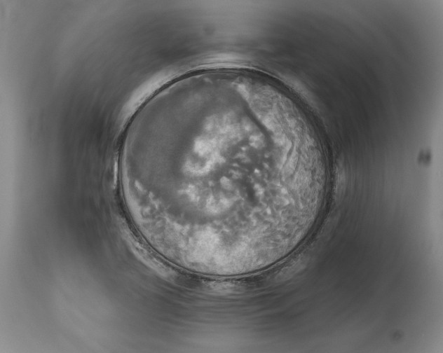 X0000114551413200911091145
