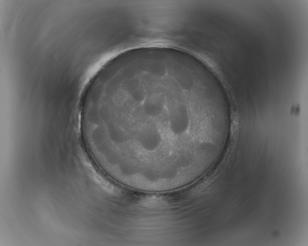 X0000114551414200911091145