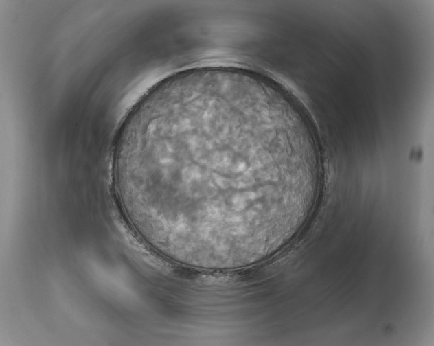 X0000114551415200911091145