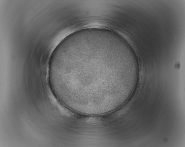 X0000114551418200911091145