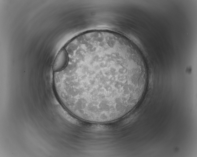X0000114551420200911091145