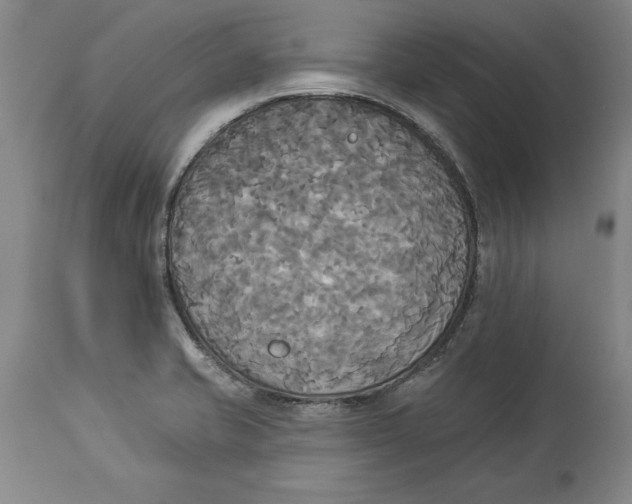 X0000114551421200911091145