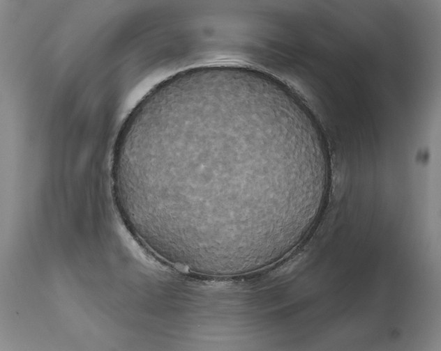 X0000114551422200911091145