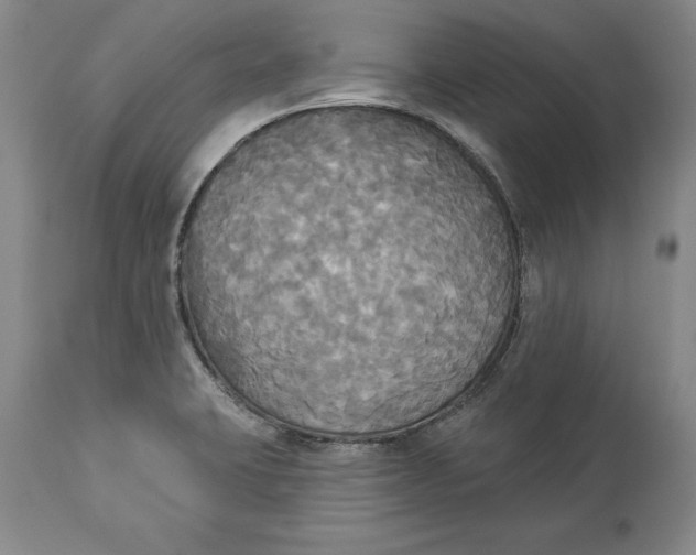 X0000114551423200911091145