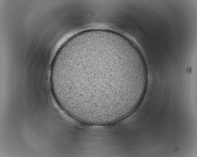 X0000114551424200911091145