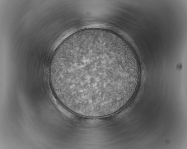X0000114551425200911091145