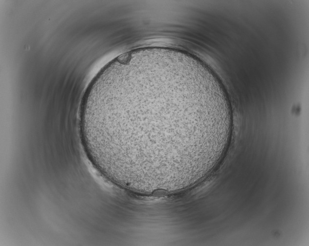 X0000114551426200911091145