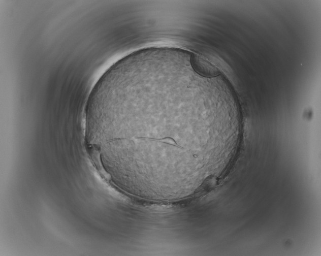 X0000114551428200911091145