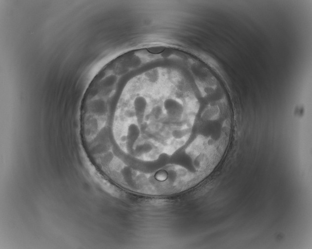 X0000114551431200911091145