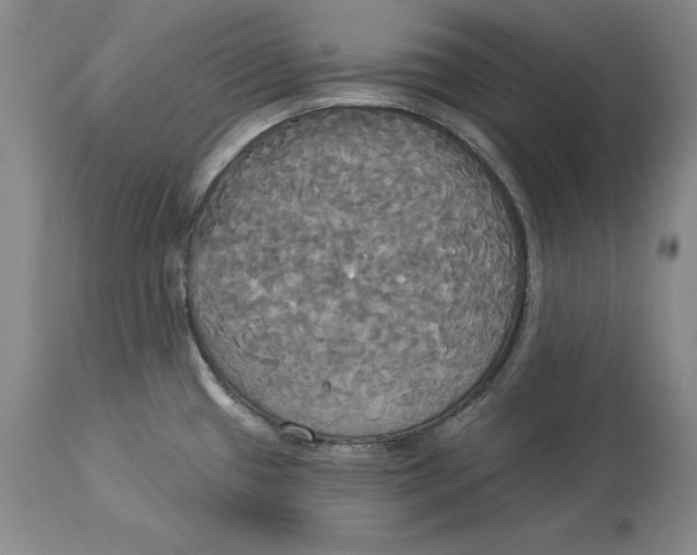 X0000114551433200911091145