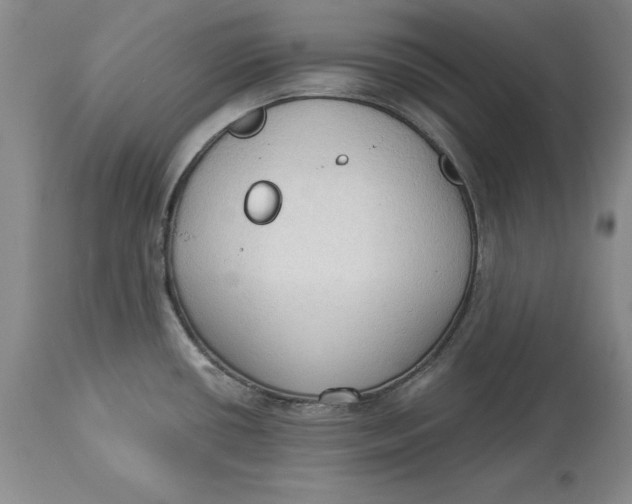 X0000114551434200911091145