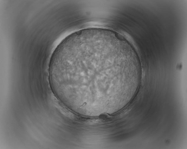 X0000114551435200911091145