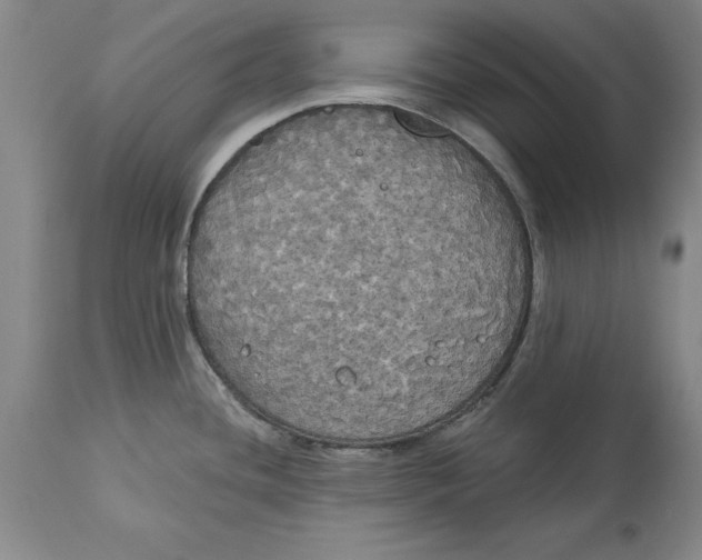 X0000114551436200911091145