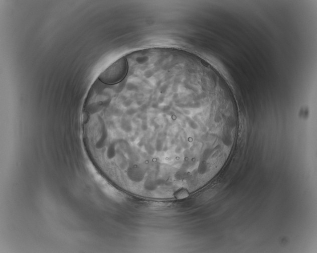 X0000114551439200911091145