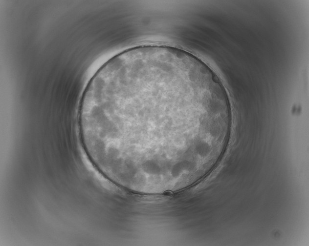 X0000114551440200911091145