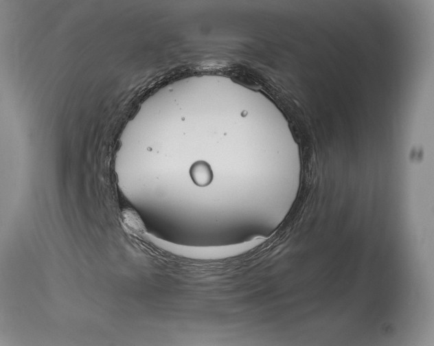 X0000114551441200911091145