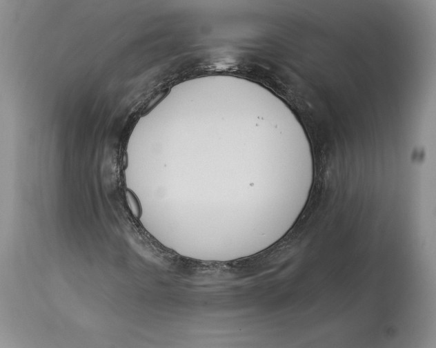 X0000114551442200911091145