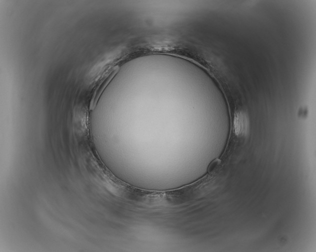 X0000114551444200911091145