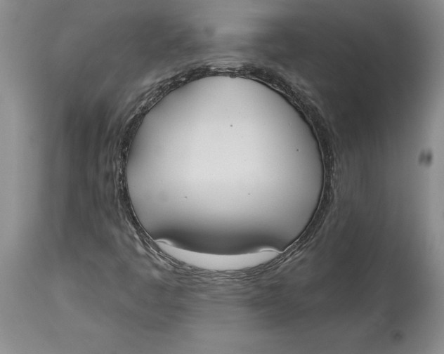 X0000114551445200911091145