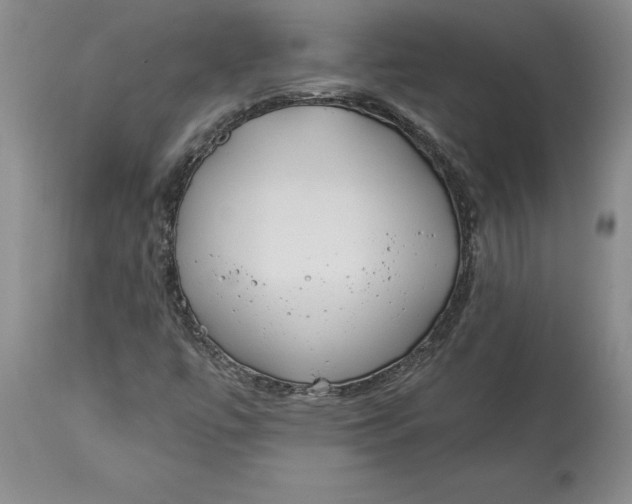 X0000114551447200911091145